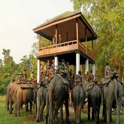 Majestic Touch of North East 5N/6D